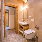 Apartment Mountain Demanovska Dolina